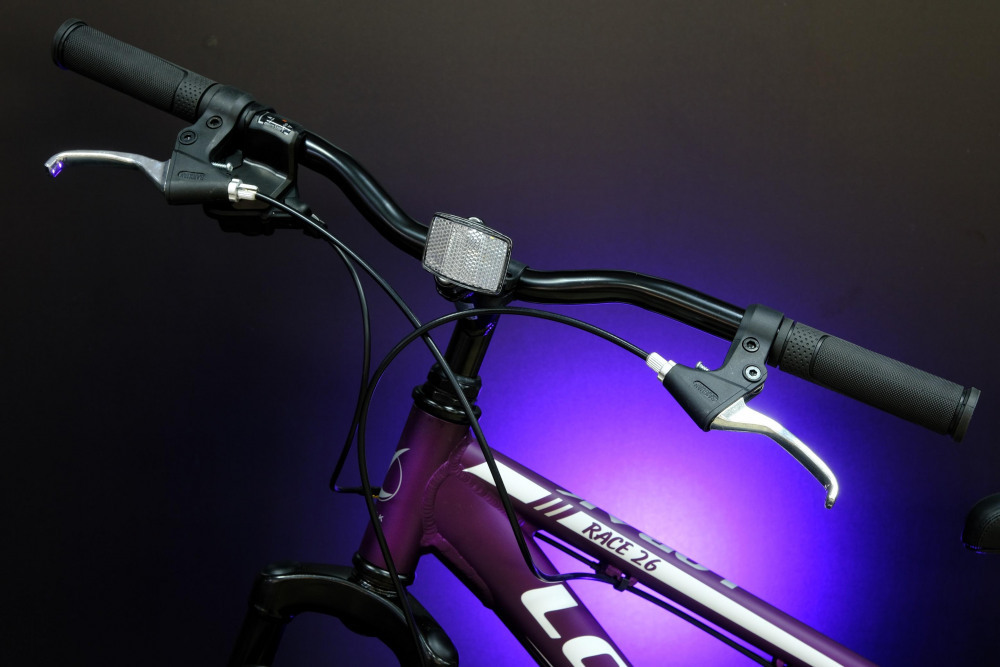 Lorak Race 26 Матовый Фиолетовый/Белый 13р (на рост 130-148)