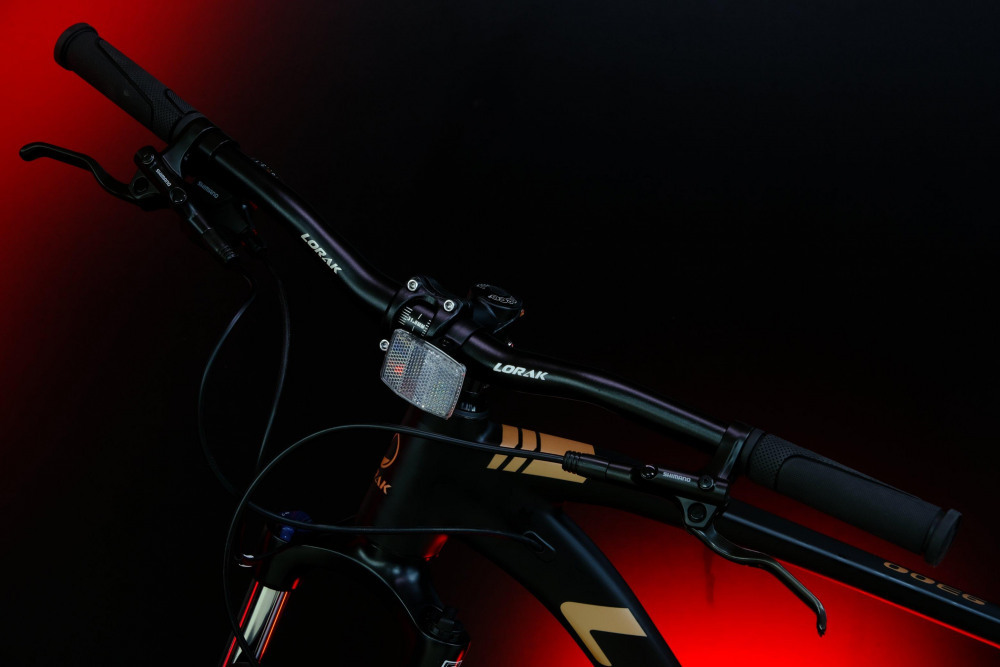 LORAK Sel 9300 Матовый Черный/Коричневый 20р (на рост 175-185)