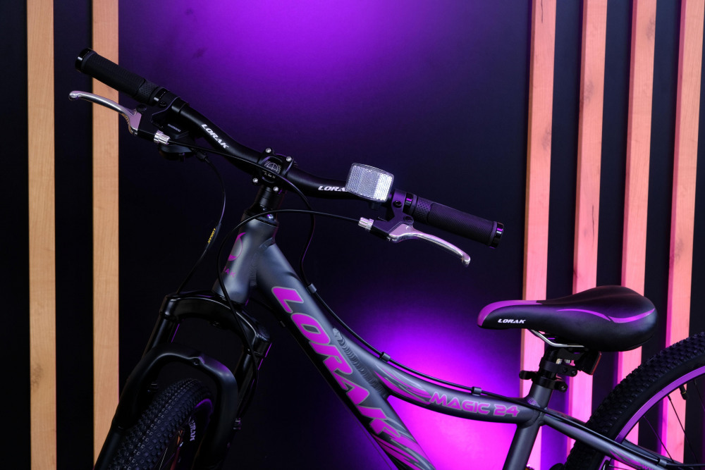 Lorak Magic 24 Серый/Фиолетовый